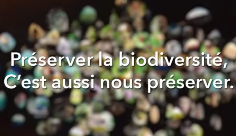 Ressources Pédagogiques Enfants pour la biodiversité